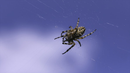 Similar image 22408112