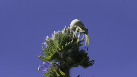 Similar image 22408126