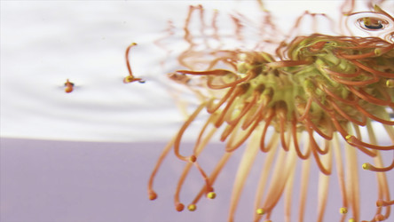 Similar image 22408142