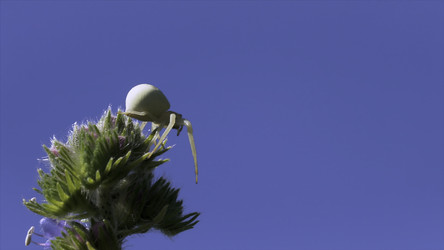 Similar image 22408143