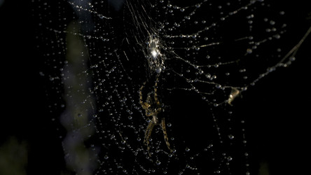 Similar image 22408158