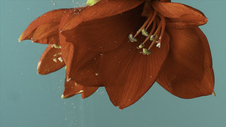 Similar image 22408171