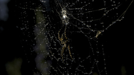 Similar image 22410012