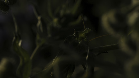 Similar image 22410018