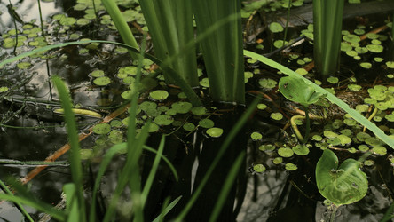 Similar image 22400973