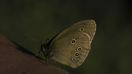 Similar image 22401018