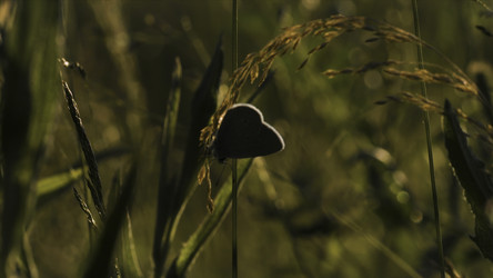 Similar image 22401048