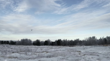 Similar image 22401063