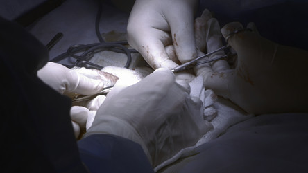 Similar image 22401138