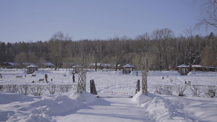 Similar image 22401183