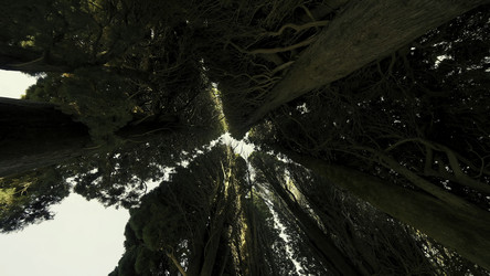 Similar image 22401241