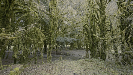 Similar image 22402091