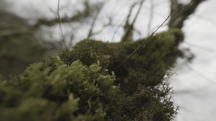 Similar image 22405600