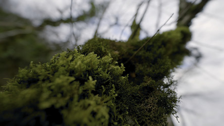 Similar image 22405706