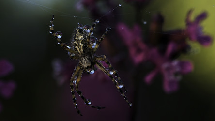 Similar image 22406199