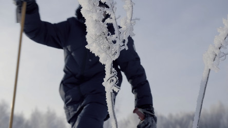 Similar image 22406304