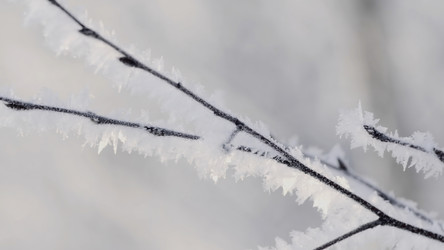 Similar image 22406334