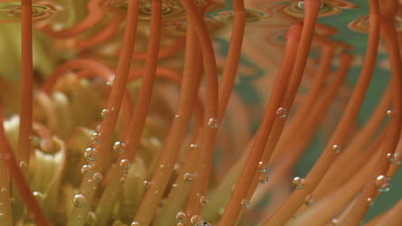 Similar image 22406875