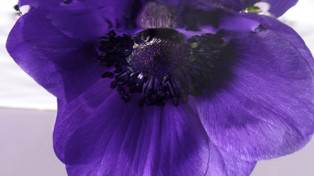 Similar image 22406889