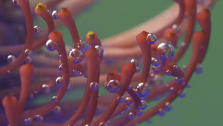 Similar image 22406950