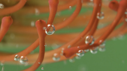 Similar image 22406995