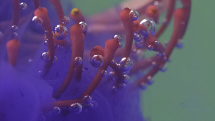 Similar image 22407070