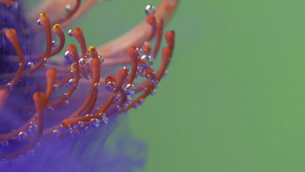 Similar image 22407084