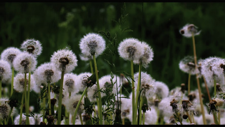 Similar image 22407369