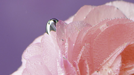 Similar image 22407444