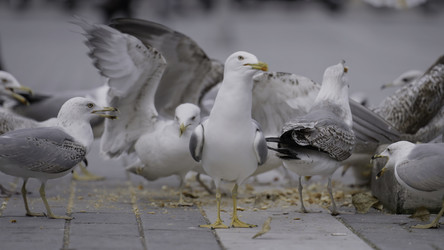 Similar image 22407595