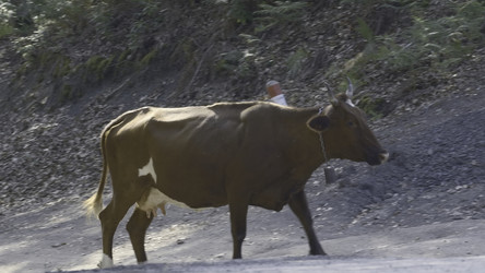 Similar image 22407708