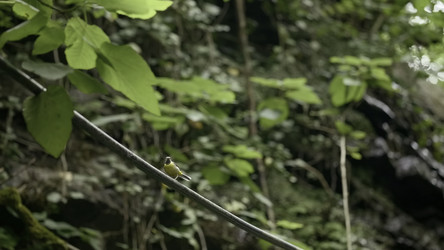 Similar image 22407738