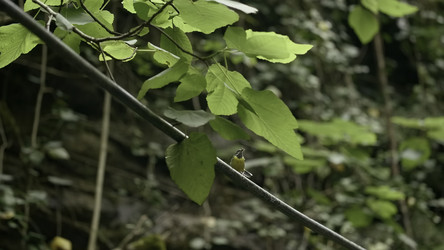 Similar image 22407753