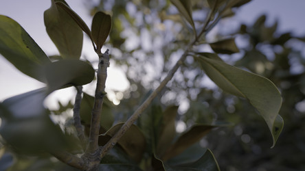 Similar image 22407783