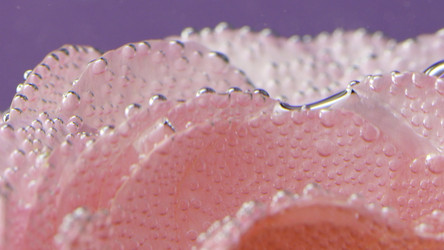 Similar image 22407826