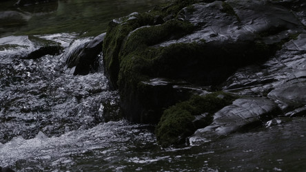 Similar image 22407859