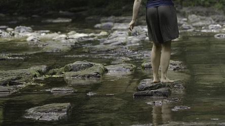 Similar image 22407888