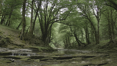 Similar image 22407934