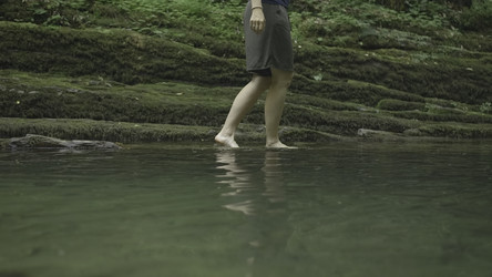 Similar image 22407950