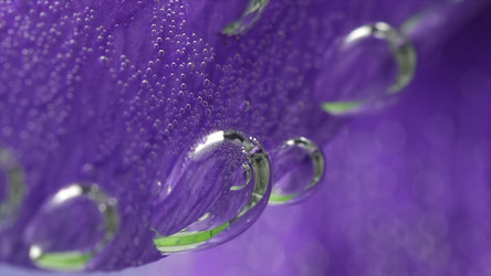 Similar image 22407977