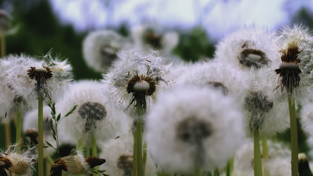 Similar image 22408010