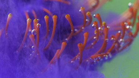 Similar image 22408023