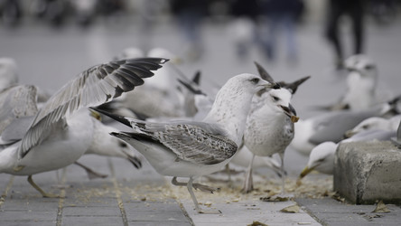 Similar image 22408054