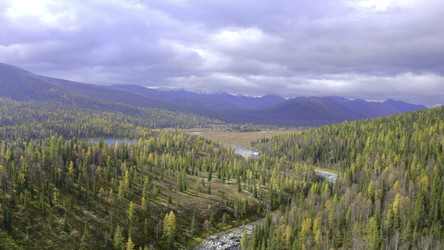 Similar image 22408069