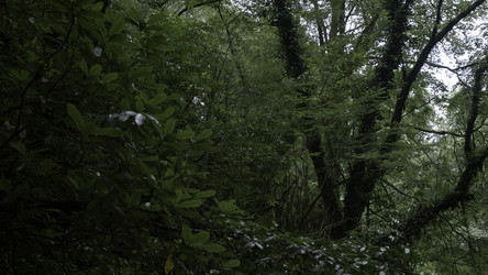 Similar image 22408145