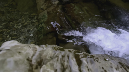 Similar image 22408172