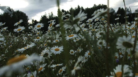 Similar image 22410063