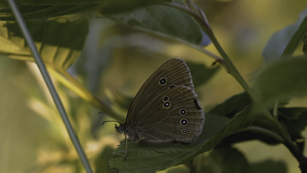 Similar image 22400913