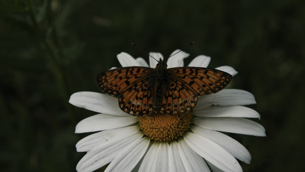 Similar image 22400943