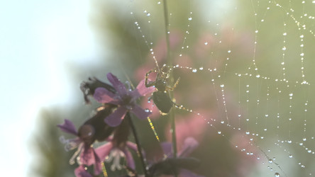 Similar image 22400976